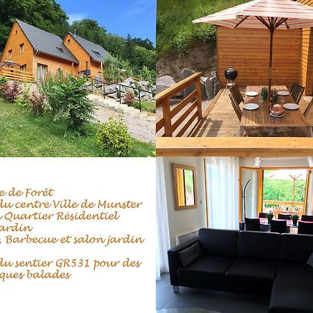 Le Chalet La Cigogne Et Le Chamois Munster  Zewnętrze zdjęcie