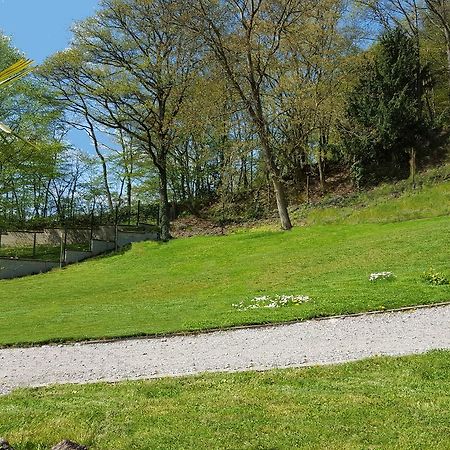 Le Chalet La Cigogne Et Le Chamois Munster  Zewnętrze zdjęcie