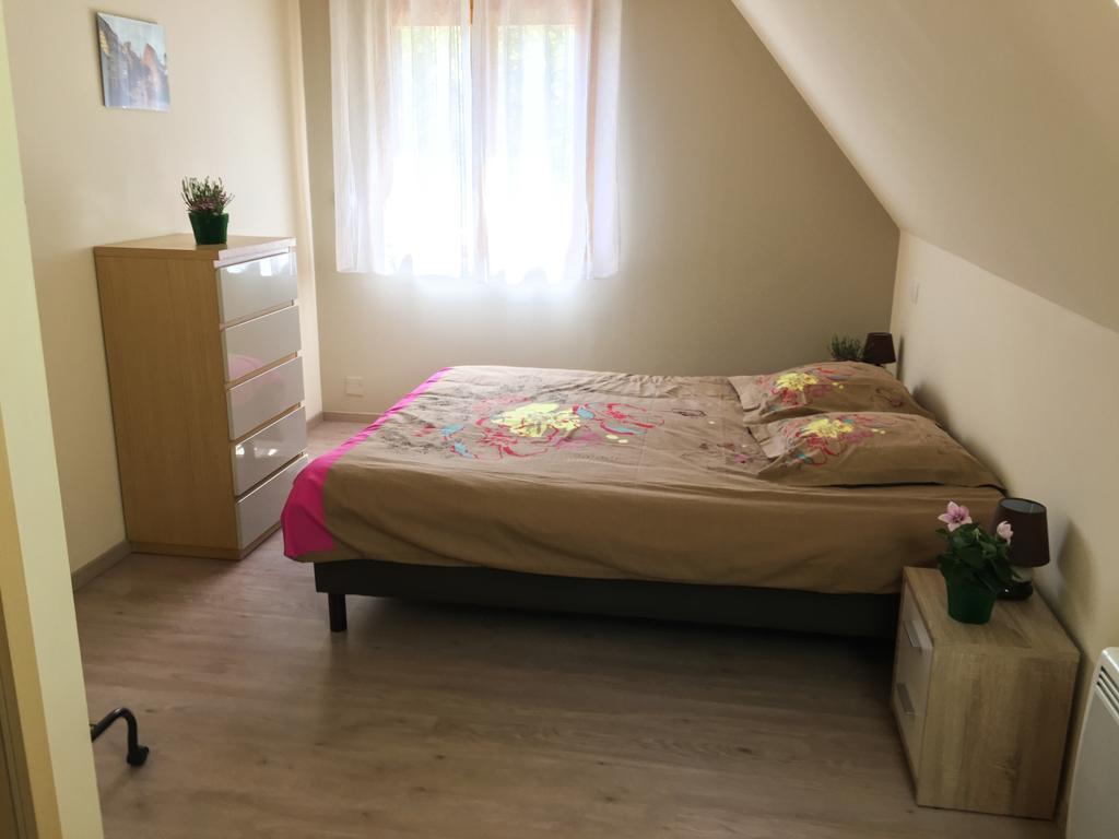 Le Chalet La Cigogne Et Le Chamois Munster  Zewnętrze zdjęcie