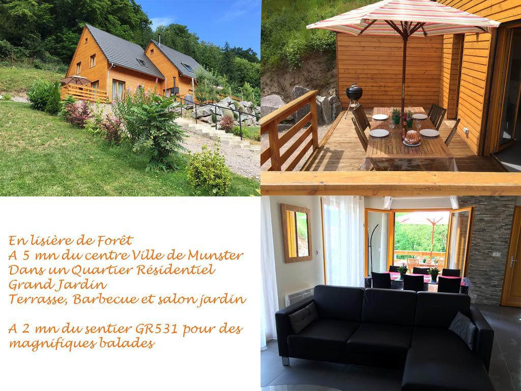 Le Chalet La Cigogne Et Le Chamois Munster  Zewnętrze zdjęcie